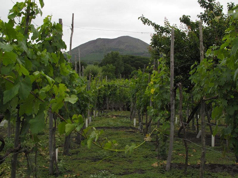 Villa Vesuvio Trecase Eksteriør bilde